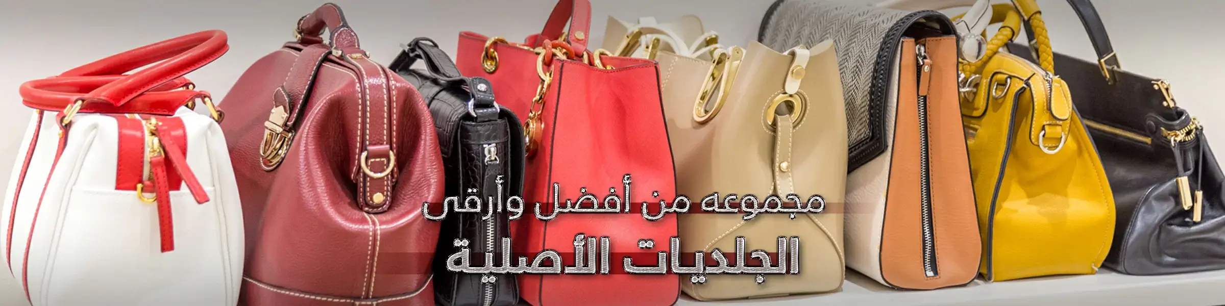 الجلديات الجلديات