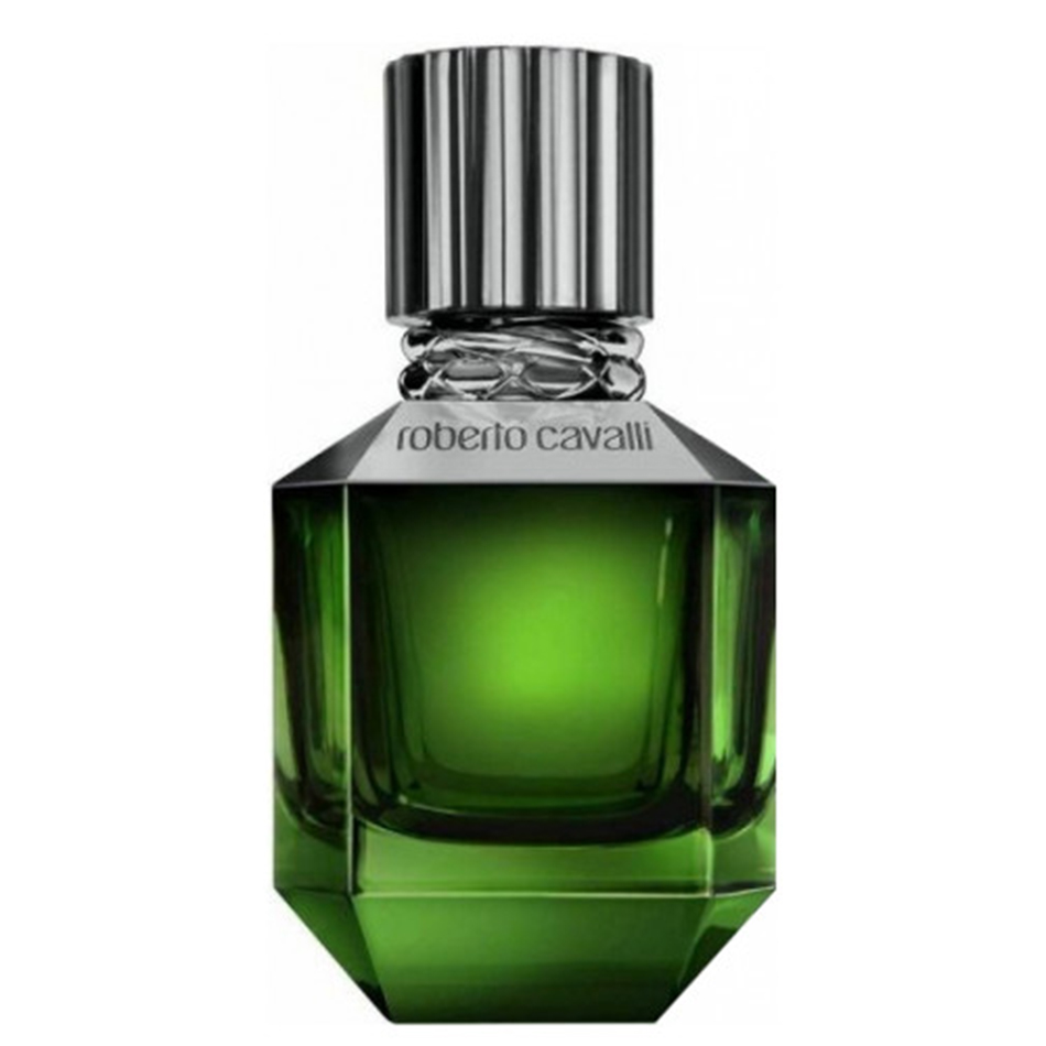عطر روبيرتو كافالى باراديس فاوند اودى تواليت 75 مل 