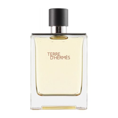 عطر تيرى دى هيرمس للرجال اودى تواليت 100 مل