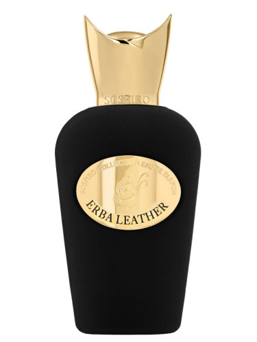 عطر سوسبيرو ايربا ليذر اودى بيرفيوم 100 مل 