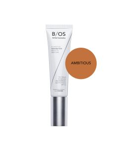 Base Of Sweden -The Base Foundation 1011 Ambitious