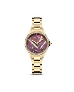 Cerruti 1881 JESINA watch for women steel gold , Burgundy