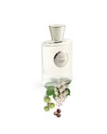 عطر جاردينيو بنيسيري ساندالو ميرا اودى بيرفيوم 100 مل