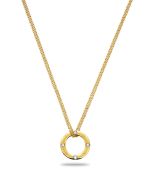 Aigner double long necklace for ladies steel gold