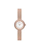 Emporio Armani Rosa watch for women steel rose gold 