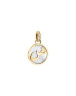 Morellato charms gold with mother of pearl SAWI20
