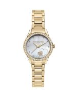 Trussardi T.SKY Quartz Watch for ladies steel gold 